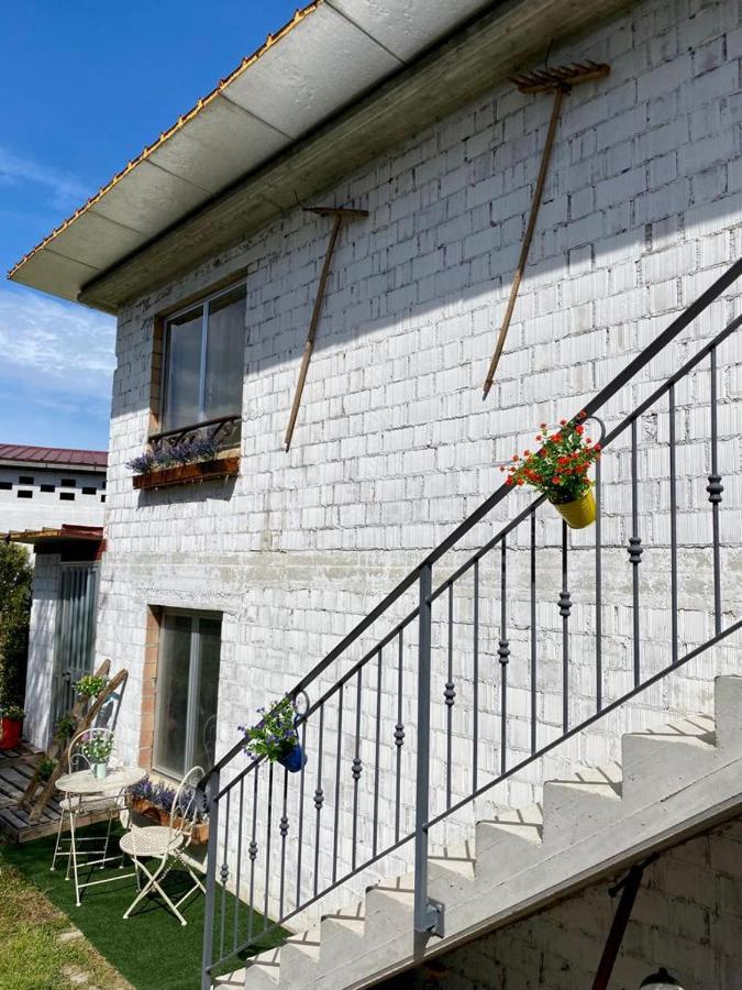 Ferienwohnung L'Olivo - 1932 Controguerra Exterior foto